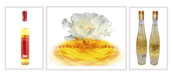 ʳ���͹��b�C